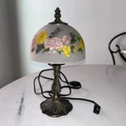 VTG Shanghai Union Arts Craft Co Romantic Flowers Lamp Frosted Reverse Print 12”