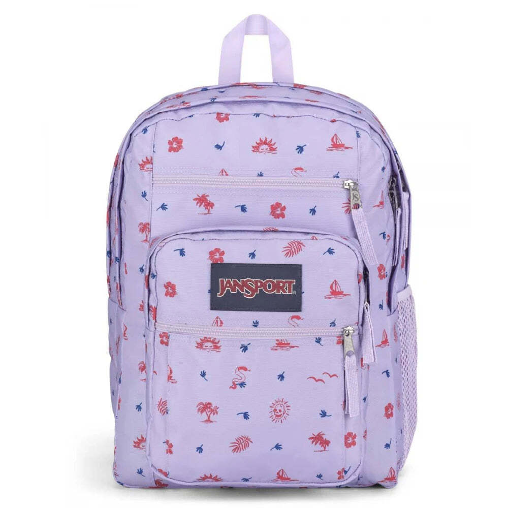 backpack dunks nike Shop | Mens Nike SB Dunk Low Pro PRM '90s Backpack' 2023 DX6775-400