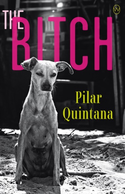 The Bitch by Pilar Quintana PAPERBACK 9781912987054