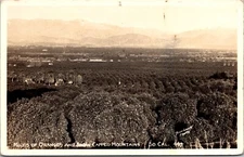 RPPC Miles Of Oranges and Snow Capped Mountains Postcard Brookwell Photo