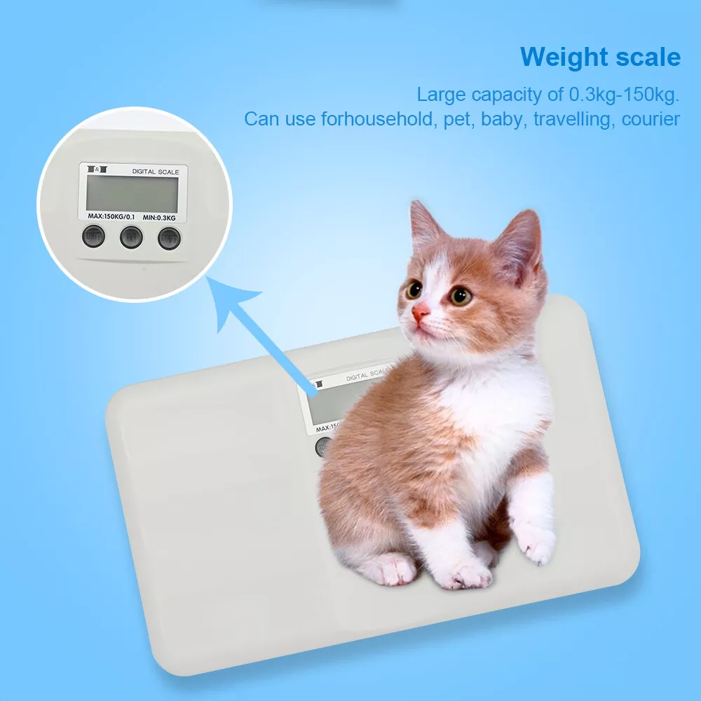 Animal Weighing Scale