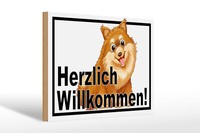 Holzschild Spruch 30X20 Cm Herzlich Willkommen Hunde Deko Schild Wooden Sign