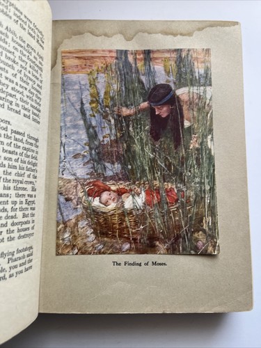 The Bible Story - Old New Testament by William Canton - Picture 9 of 18