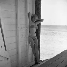 1950s Negative-sexy pinup girl Coreen Amsterdam-cheesecake t252356