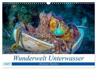 "Calendar 2027 · US Version · Wonder World Underwater (Wall Calendar 2027 17\" × 1"