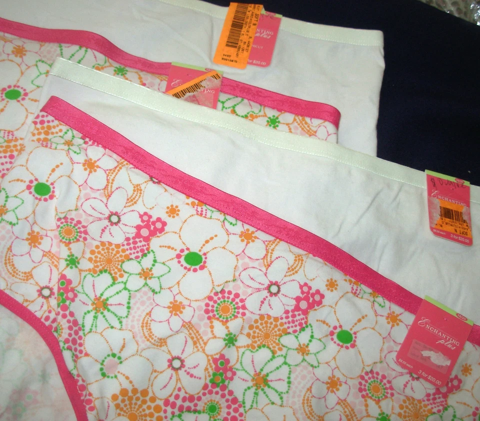 Lote 4 Encantadoras Bragas Encantadoras Talla Grande 18/20 Corte Alto Mezcla Algodón Sears 10/11 Foto 2 de 2