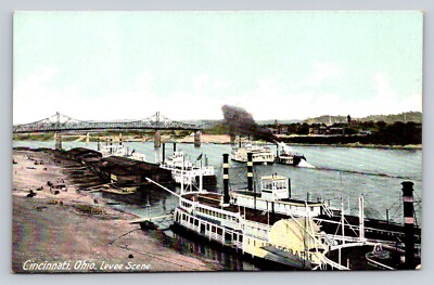 Bridge Paddle Boats Levee Scene Cincinnati Ohio P750