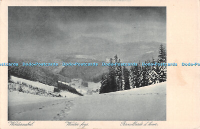 R488742 Winternebel Winternebel Brouillards d Hiver 1944