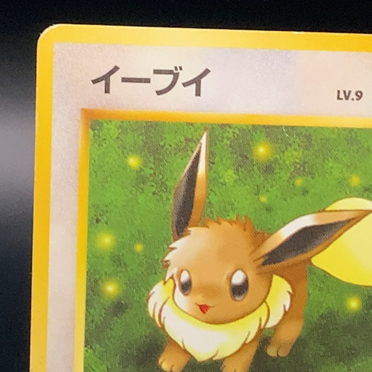 best card sleeves for pokemon Pokemon Card Sleeves Close Friends