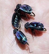 8 x UV BLACK FOAM BEETLES Kamasan hooks size 12