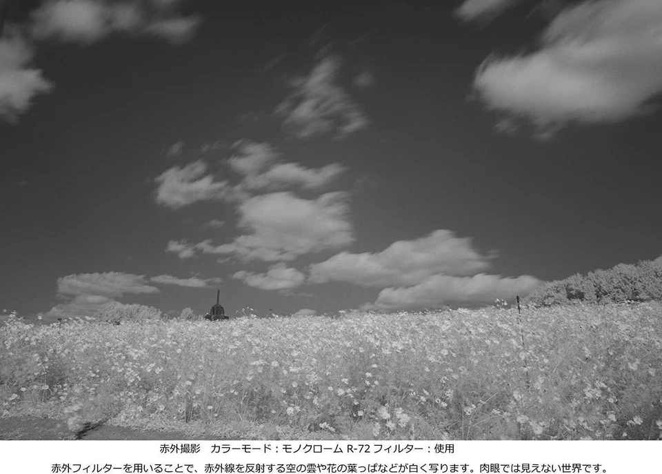 Kenko camera filter PRO1D R-72 52mm for monochrome photography 325209 - Image 4 of 4