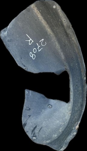 Radhaus rechts vorn Innenkotflügel Rathausschale 5K0805978 VW GOLF VI (5K1) 1.6