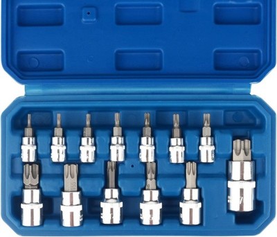 DAYUAN Torx-Bit-Steckschlüssel-Set, 13-teilig, 3/8 Zoll Dr. T8 - T70 E Star 