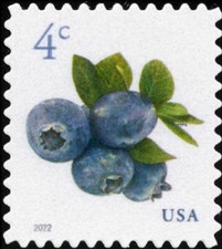 2022 4c Watercolor Cluster of Blueberries & Leaves Scott 5652 Mint F/VF NH
