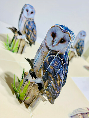 Barn Owl - Sticker – Amy Rose Moore - View #4