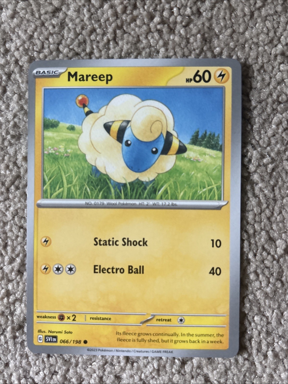 Mareep 066/198 SV01: Scarlet & Violet Base Set Regular