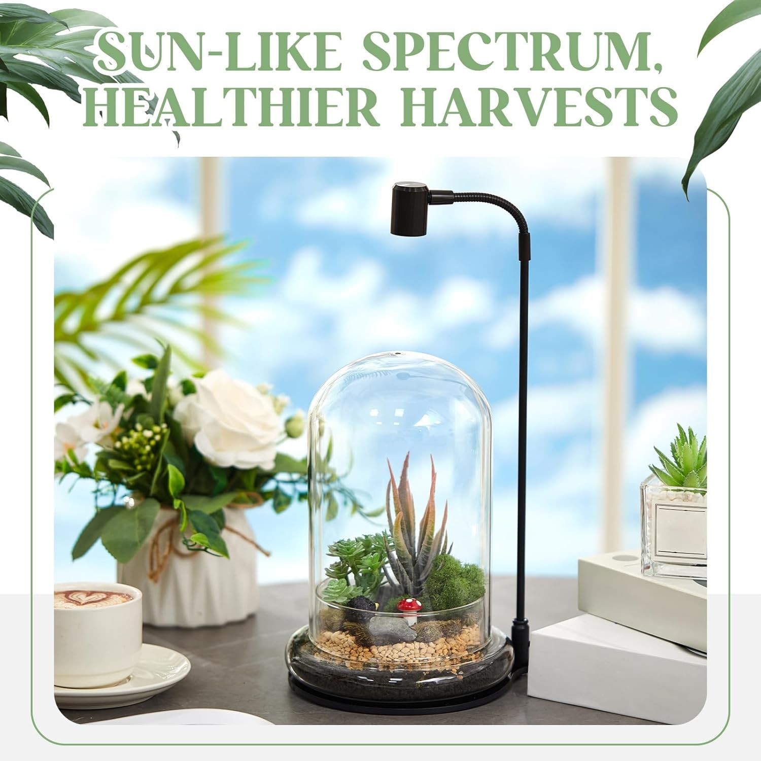 Maxdot Plant Terrarium Kit with Grow Light, 4.8'' x 7.87'' Glass Dome Terrarium 