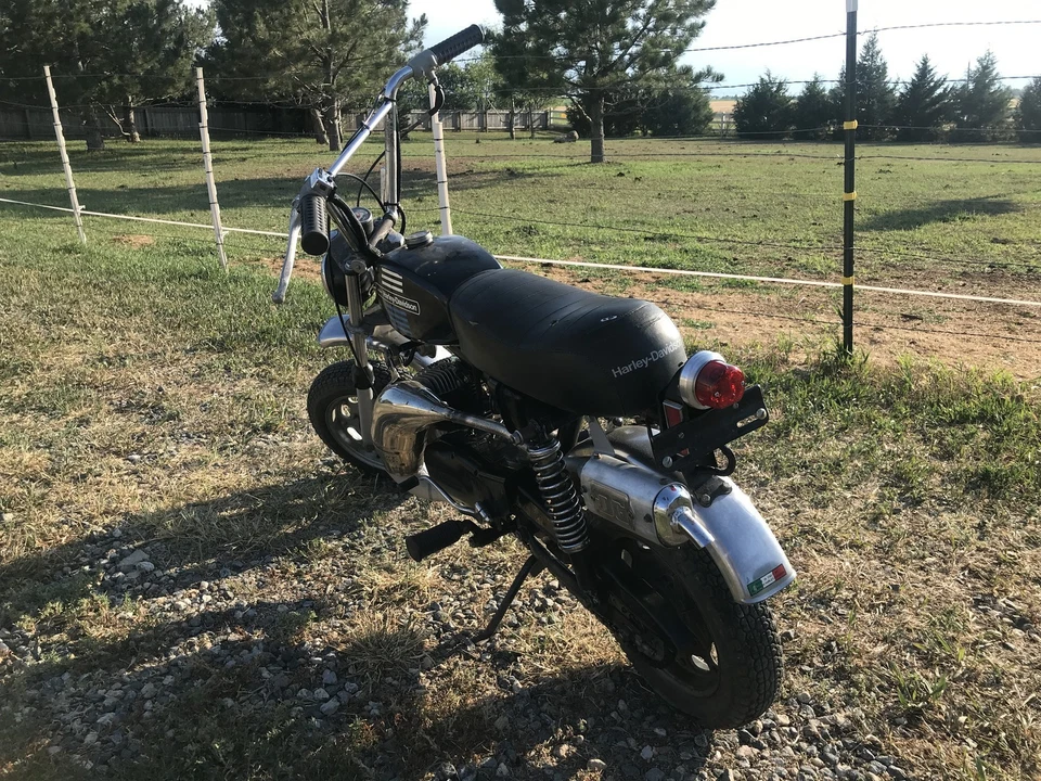 WIPAC S446 6v o 12v MINI LUZ TRASERA REDONDA CAFÉ BOBBER LUZ TRASERA PERSONALIZADA BSA TRI Foto 3 de 4