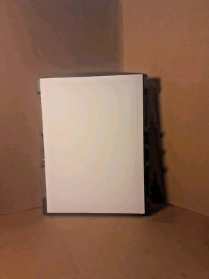 Original EPSON PERFECTION 2480 PHOTO Dokumentenmatte Hülle - Schwarz