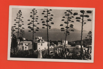 Tunesien - TUNISE - Sidi Bou Said (Ref. K4053)