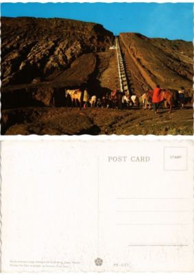 CPM AK INDONESIA - East Java - Horses for Hire aviable at Bromo (694443)