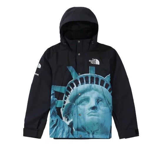 Supreme 19FW The North Face Statue of Liberty Mountain Jacket