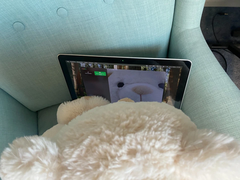 Apple MacBook Pro 13 Zoll, Intel Core i5 2.3 GHz 4GB RAM 240GB SSD MacOS Sequoia - Bild 3 von 4