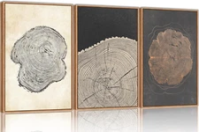 Tree Ring Wall Art, (16X24 Inch) Pastel Gray Wood Stump Print Wall Art Set, Larg