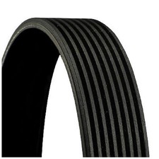 Continental Ctam Keilrippenriemen 8PK1480 51968200352 11287589365 | 405069