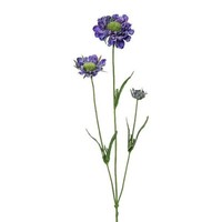 Artplants Kunst Zweig Scabiosa Atlento, Lila, 65Cm