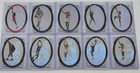 1996-97 Upper Deck SPx Basketball Holoview Heroes 10 Card Lot w/ Michael Jordan