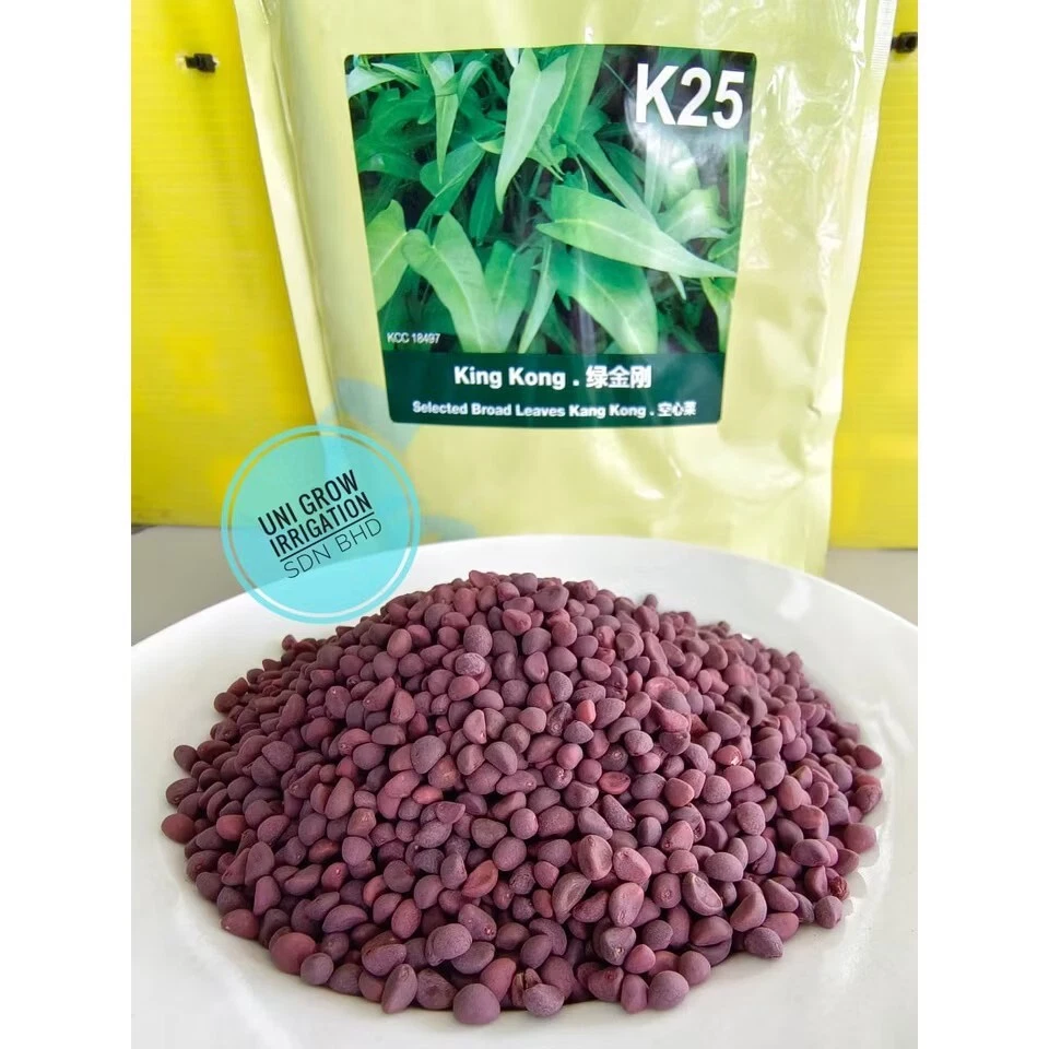 1 Kg water spincach true breed farm vegetable seeds - Image 4 of 4