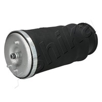 Luftfeder Fahrwerk Ashika MA-AS019 FüR E39 BMW 5Er Touring 520 523 525 Tds 528