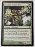 Sacellum Godspeaker - Shards of Alara - Magic the Gathering MTG Nice!