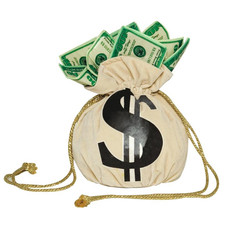 Money Bag Purse - Rasta Imposta