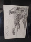 Bild 3 von 9