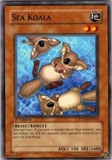 Yu-Gi-Oh TCG Sea Koala PTDN-EN037 1st Edition Regular Common Card LP-NM