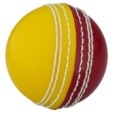 Readers Supaball Cricket Ball