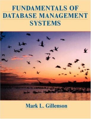 Fundamentals of Database Management Systems by Mark L Gillenson
