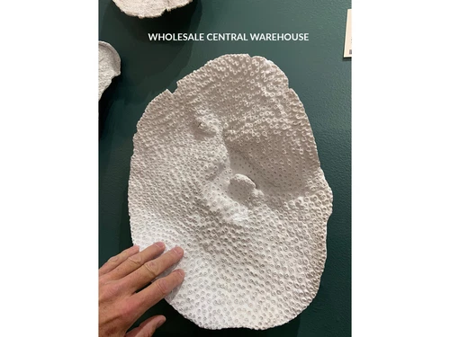 FOUR XXL COASTAL BEACH FAUX SEA CORAL WALL MOUNT DECOR  AGED WHITE 20170 - Picture 1 of 3