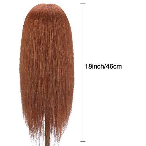 Mannequin Head with 100% Human Hair, TopDirect 18" Dark Brown  Assorted Colors 