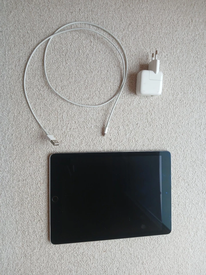 iPad Pro (9,7 Zoll , 2016, 32GB, WiFi-only) space grey