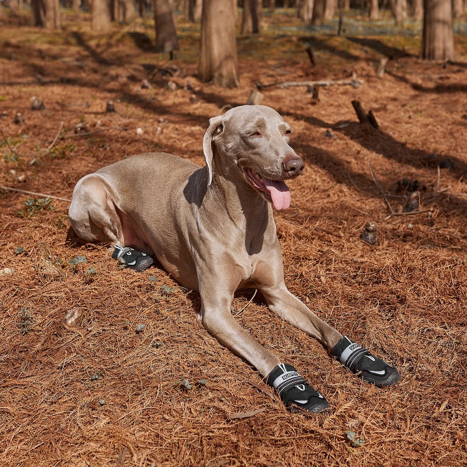 Zapatos para perro pequeños medianos grandes botas protector de pata con reflectante antideslizante 4 un. Foto 2 de 4