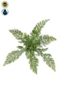 Artplants Kunst Pflanze Asparagus Plumosus Blizal, Steckstab, GrüN, 45Cm