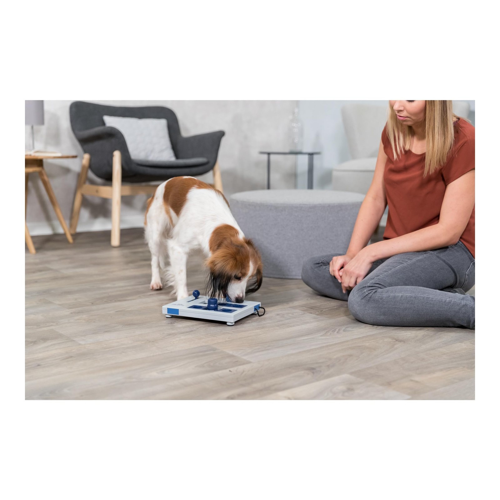 Jeu de stratégie Mini Mover avec modules antidérapants pour chien