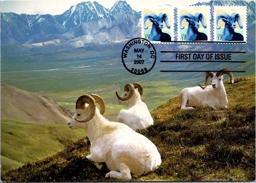 Dr Jim Stamps Maximum Card Bighorn Sheep 17C Trio Fdc Bifold