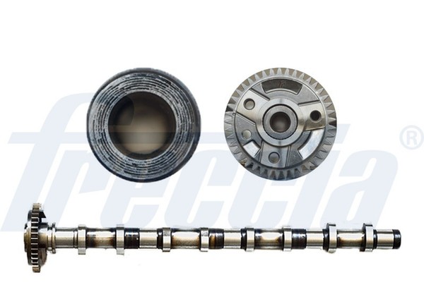 Nockenwelle Freccia CM05-2187 FüR B6 Superb 3B6 VW Passat 3B3 BDG A4 A6 3U4 C5 1-image