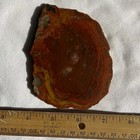 UTAH YELLOW CAT AGATE SLAB ~ 127 grams / rough jasper mineral rock cab — photo 10