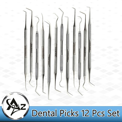 Set of 12 Stainless Steel Precision Micro Pick Set Combo, 5.5 inch to 6 inch