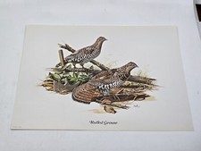 Don Balke Lithograph Wildlife Art Print Ruffe...